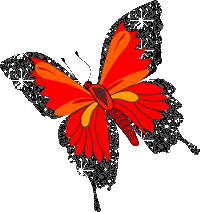 active butterfly image